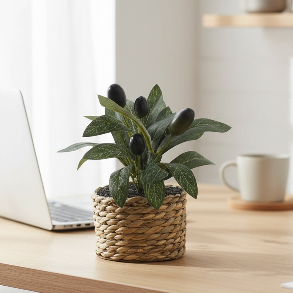 Interior Design Office - نباتات اصطناعية، شجرة زيتون صغيرة، نباتات